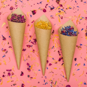 Wedding confetti | Biodegradable confetti |Petal confetti | Cones DIY and petals | Compostable confetti | Flower confetti