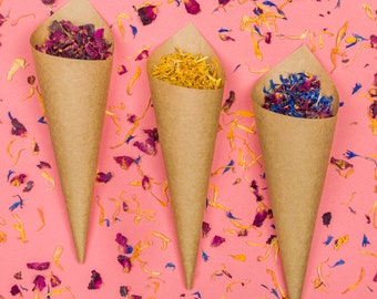 Biodegradable Wedding Confetti: Dried Flower Petals & DIY Cones