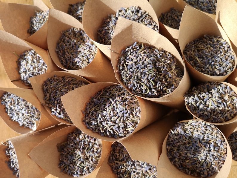 May include: A close-up view of multiple brown paper cones filled with dried lavender buds. The cones are arranged in a circular pattern, with the lavender buds visible in each cone.