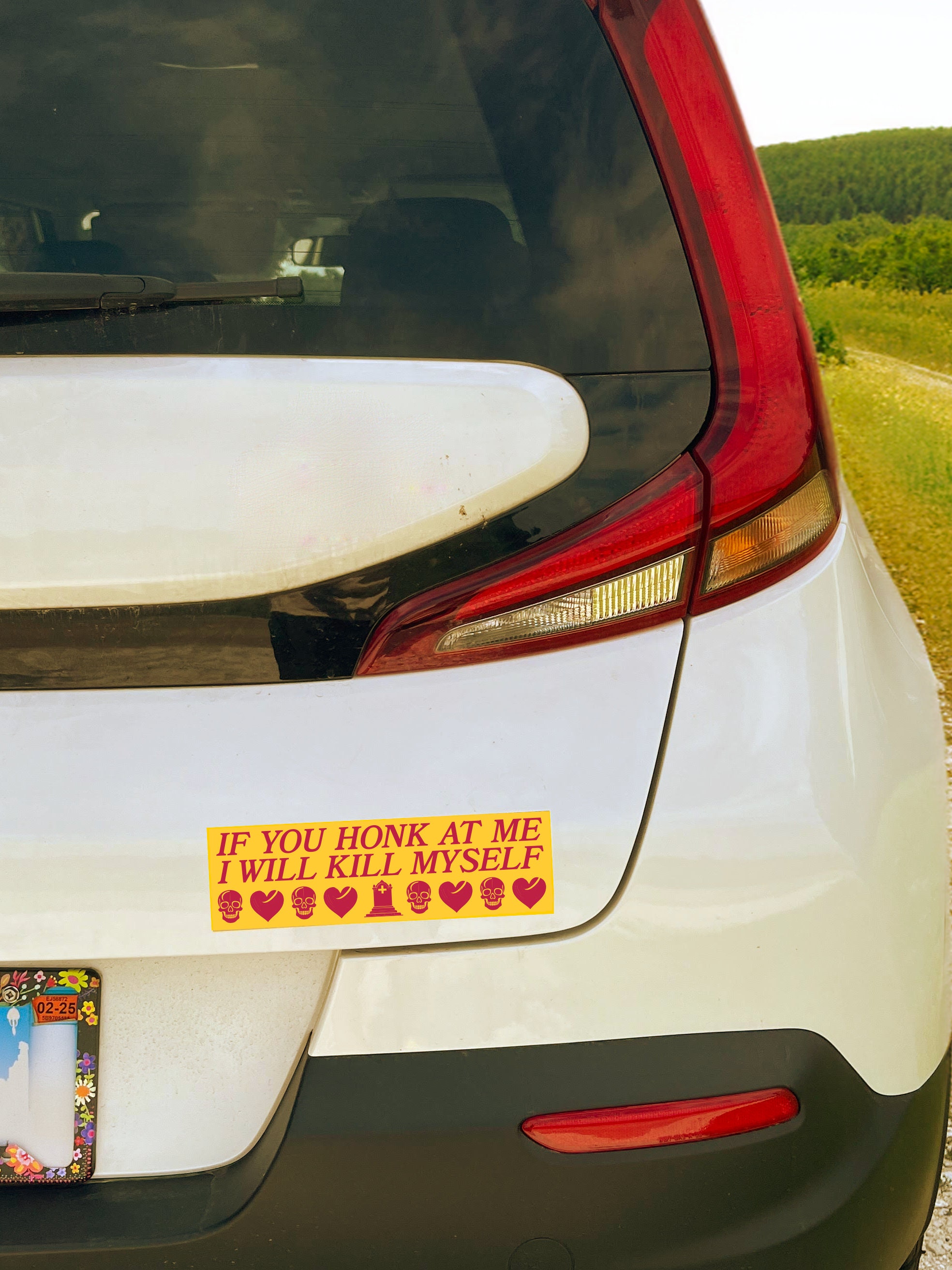 If You Honk at Me... - Bumper Sticker or Magnet Large 10x3 Inches - Etsy