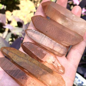 Naturliga röda hametit lemuriska kvartskristallpunkter/lemurisk helande energi/rosa färgmineraler fästa/stjärnkvarts/SIRIUS KVARTS