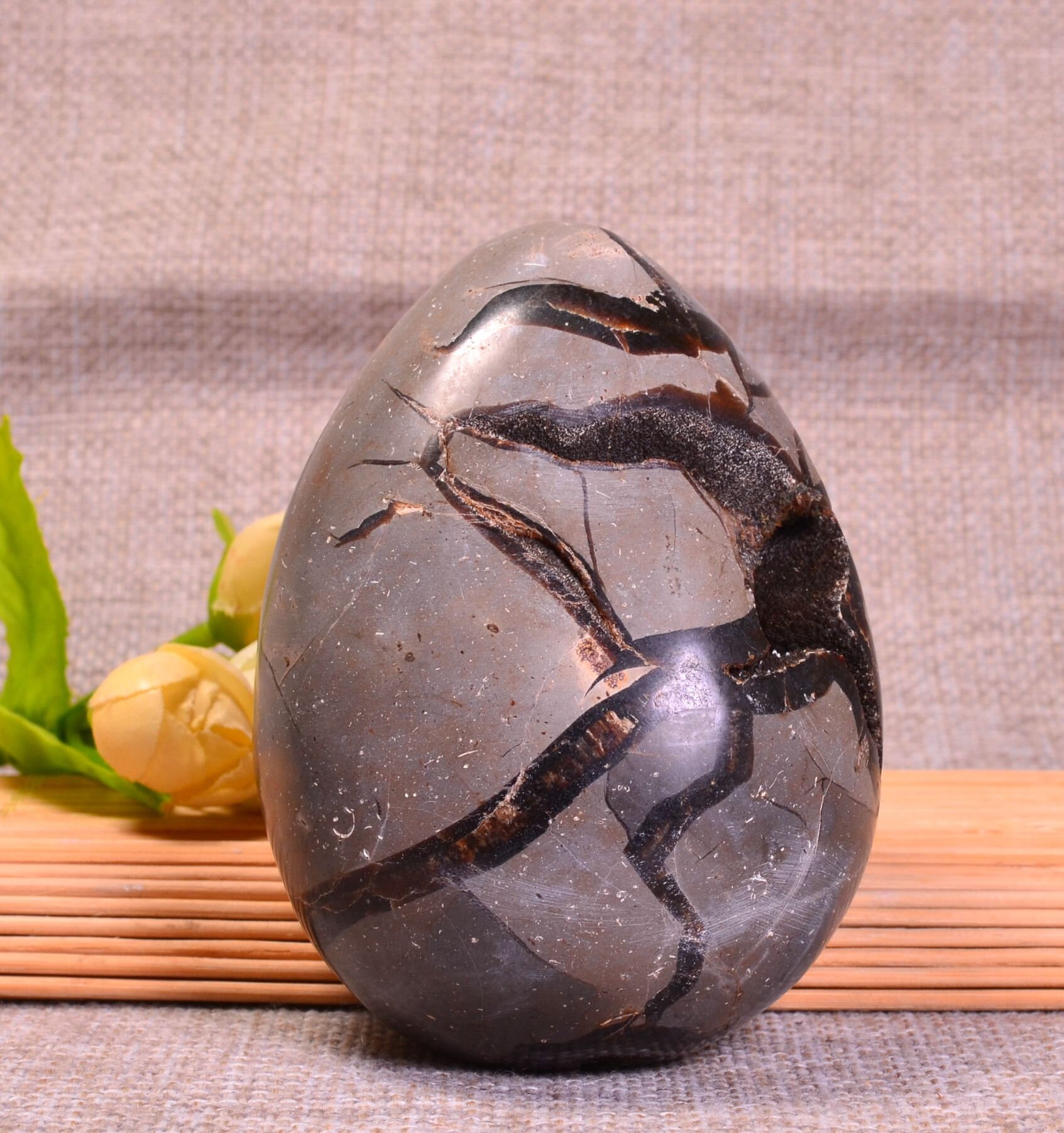 ジオード亀 SCIENCE ミニ鉱物標本ジオードペア（トレジャーメノウ）「ジオード