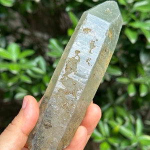 May include: A clear quartz crystal point with a natural, raw, and rough texture. The crystal is a light grey colour with brown inclusions. The crystal is approximately 15 cm long.