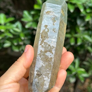 May include: A clear quartz crystal point with a light grey, cloudy appearance. The crystal has a natural, rough texture and is approximately 15 cm long.