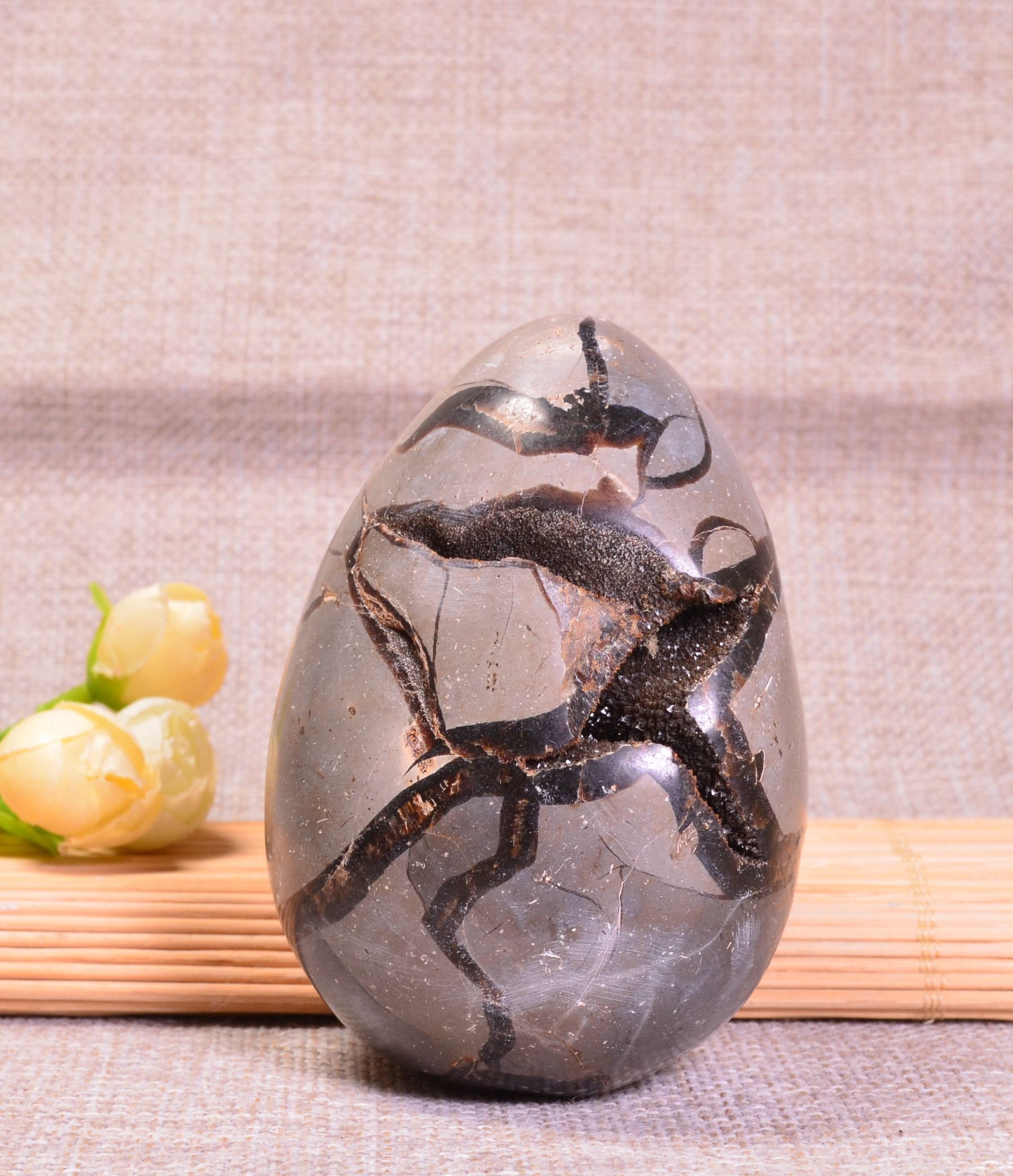 ジオード亀 SCIENCE ミニ鉱物標本ジオードペア（トレジャーメノウ）「ジオード