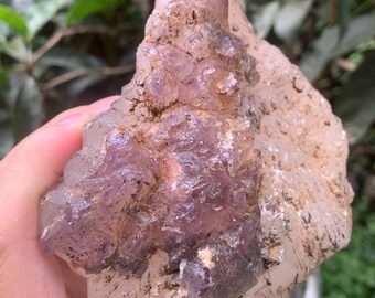 May include: A raw, uncut amethyst crystal cluster. The crystal features a mix of translucent and opaque sections, with shades of purple and clear quartz. The rough texture and natural form of the stone are visible.