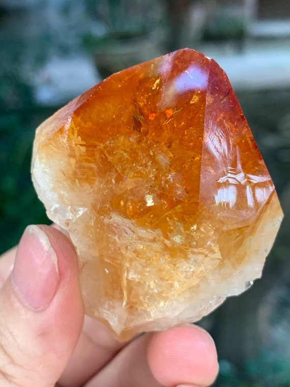 Only 38usdnatural Orange Citrine Quartz scepter Citrine Crystal rainbow Fire Citrine Specimen yellow Crystal Healing 97g 604835mm Spirit Etsy Canada