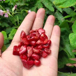 May include: A handful of small, bright red coral pieces, likely used for jewelry making or crafting.