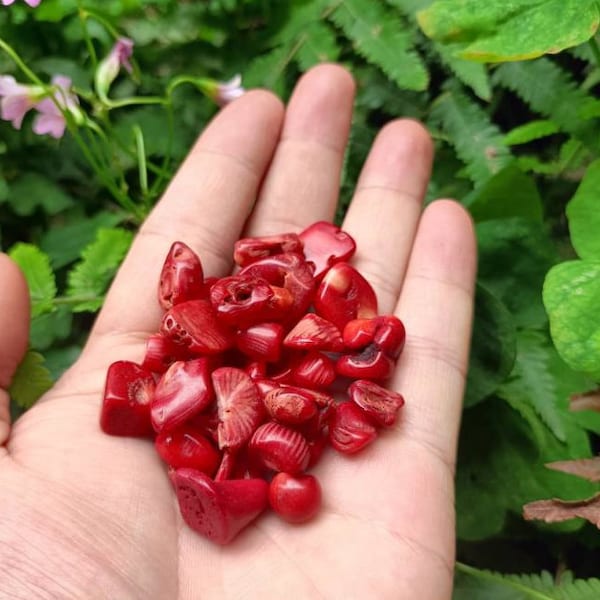 Red Coral/Polished Red Coral Gravels/Jewelry Making/Undrilled Red Coral Chips/Tiny Coral/Loose Stone/Color Optimized Coral Particles