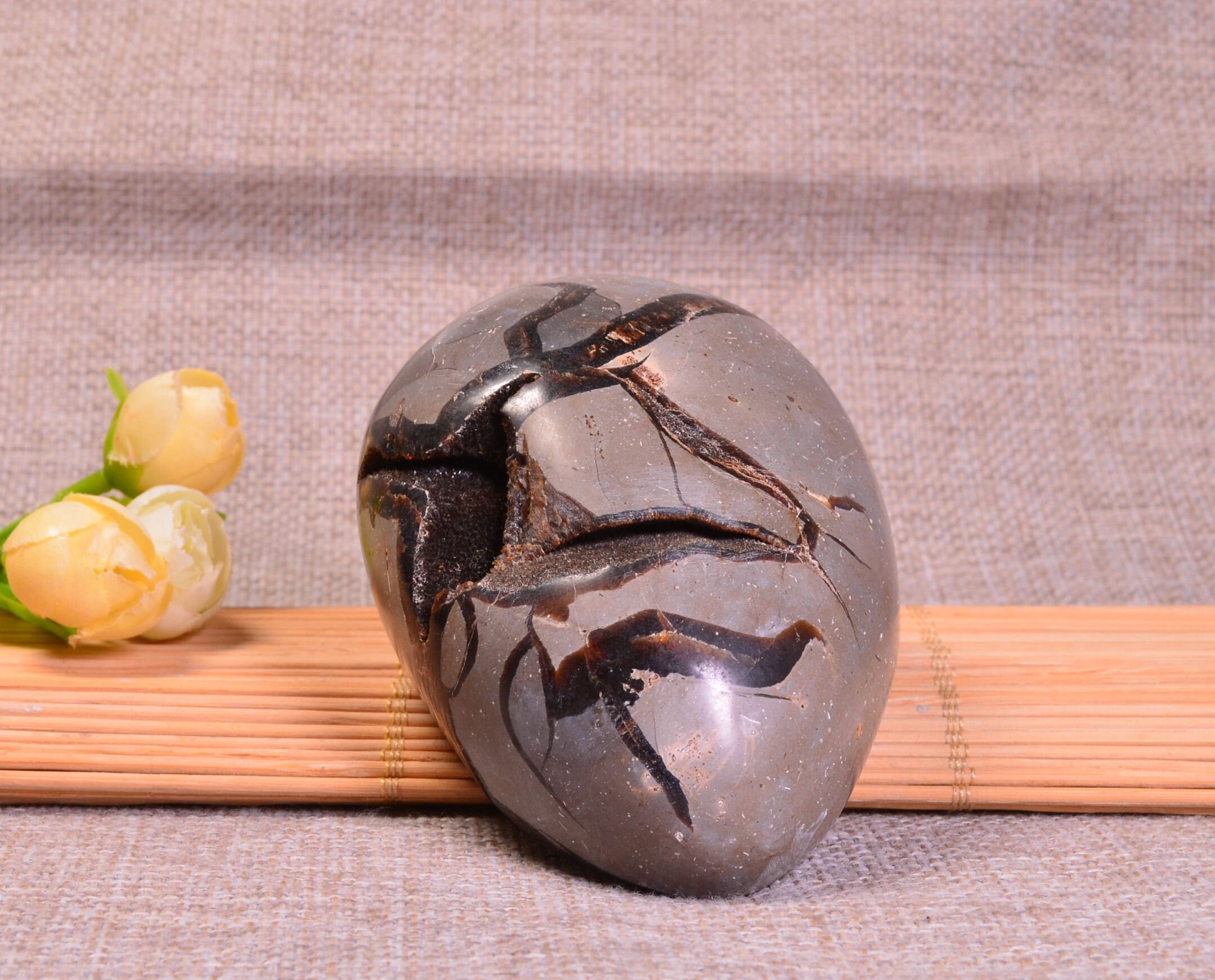 天然セプタリウム、亀の背457g ドラゴンセプタリウムジオード、縞模様