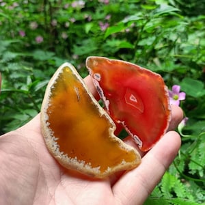 May include: Two agate slices, one orange and one red, with white banding. The slices are in the shape of a crescent moon.