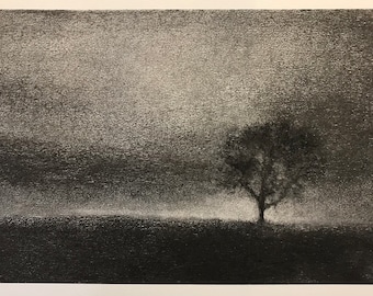 One tree hill.  Original charcoal drawing inspired by a favourite tree near my home in Perthshire.