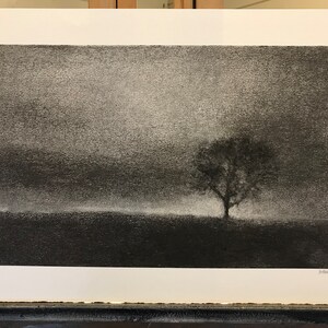 One tree hill. Original charcoal drawing inspired by a favourite tree near my home in Perthshire. zdjęcie 8