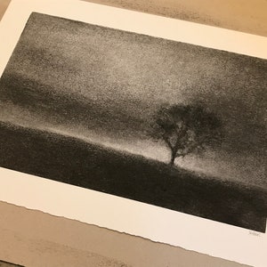 One tree hill. Original charcoal drawing inspired by a favourite tree near my home in Perthshire. zdjęcie 4