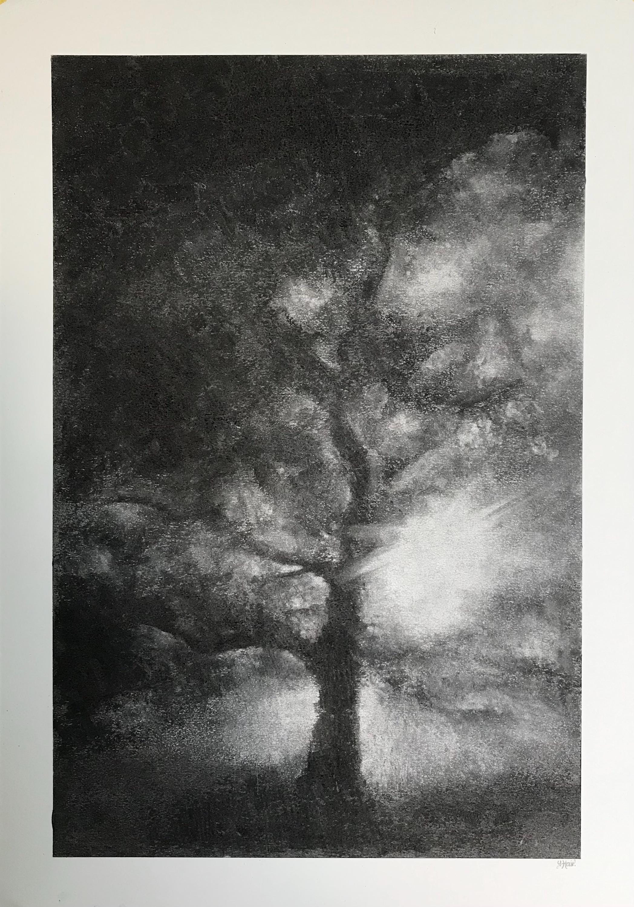 森の陽光。木炭画。59.5 cm x 42 cm。 - Etsy 日本