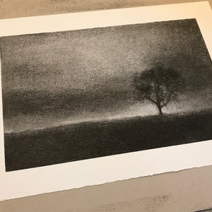 One tree hill. Original charcoal drawing inspired by a favourite tree near my home in Perthshire. zdjęcie 3