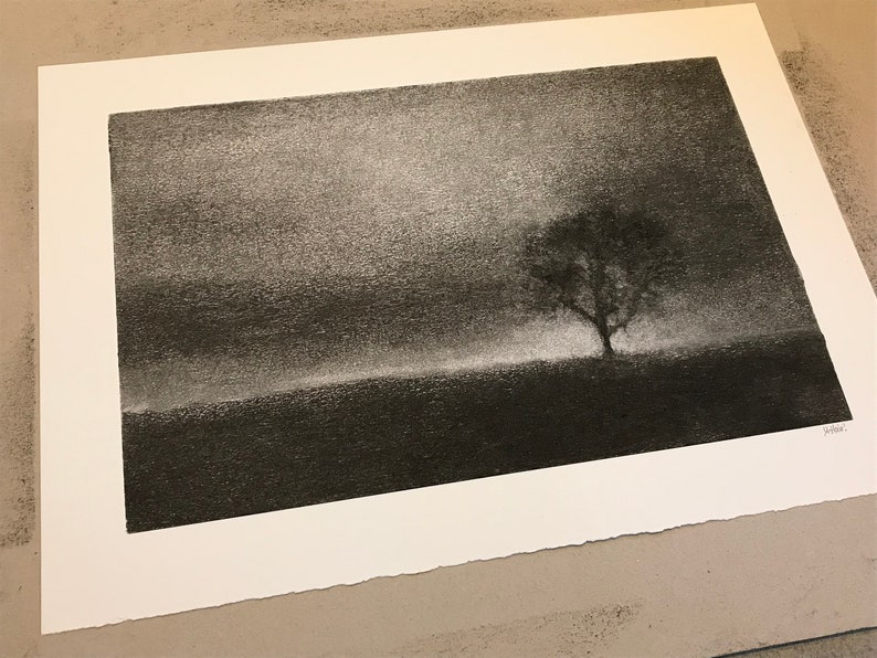 One tree hill. Original charcoal drawing inspired by a favourite tree near my home in Perthshire. zdjęcie 3