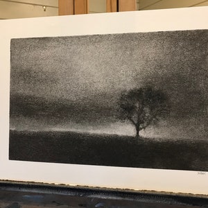 One tree hill. Original charcoal drawing inspired by a favourite tree near my home in Perthshire. zdjęcie 6