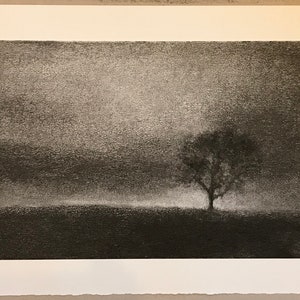 One tree hill. Original charcoal drawing inspired by a favourite tree near my home in Perthshire. zdjęcie 5