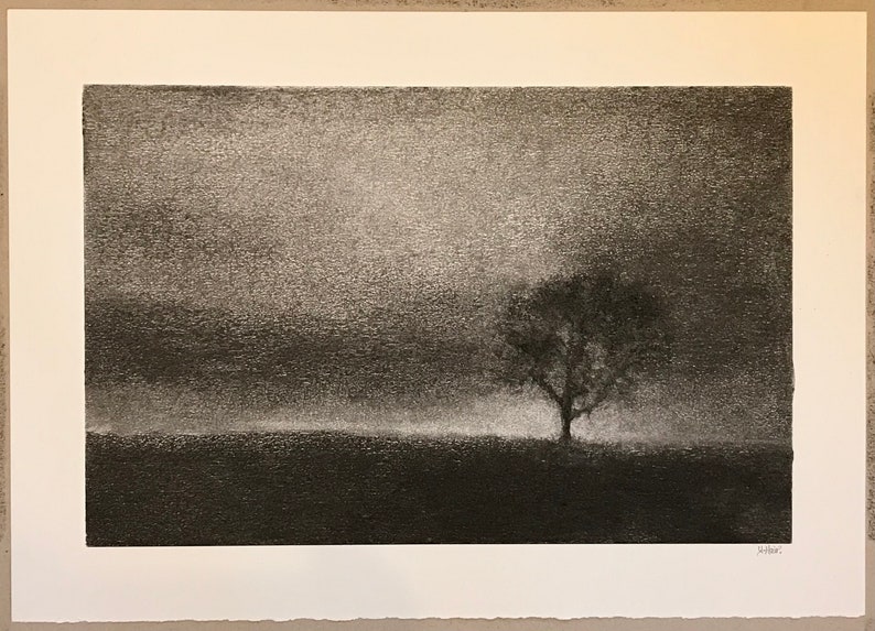 One tree hill. Original charcoal drawing inspired by a favourite tree near my home in Perthshire. zdjęcie 5