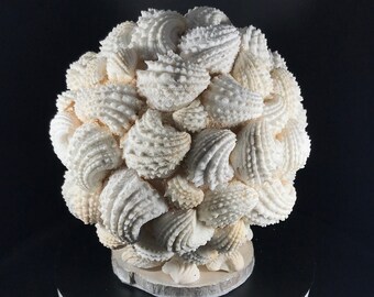 Foaming Waves! Seashell Sphere Centerpiece handmade with natural local Florida Jewel Box shells