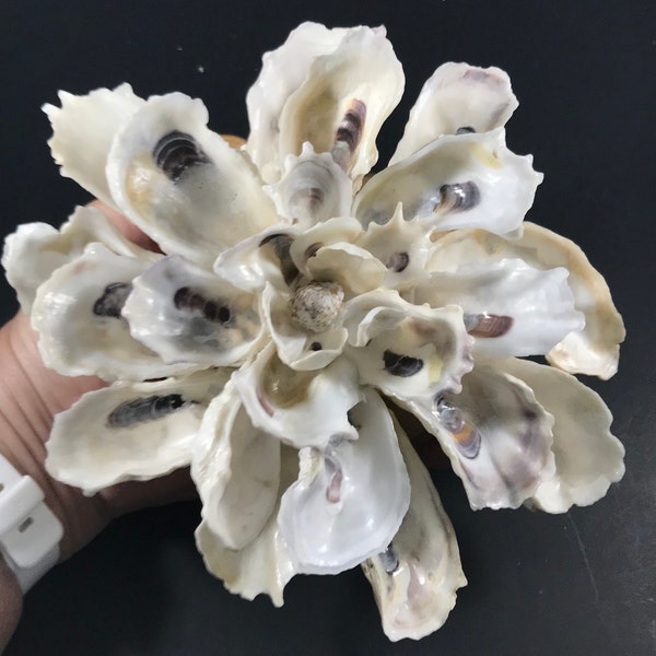 Blooming Oyster Frilly Flower handmade with local gnarly Oyster Shells fringed with frilly petal tips!