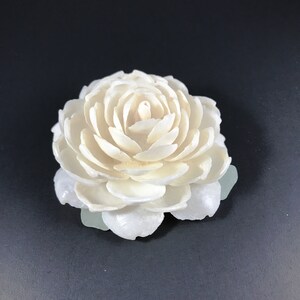 White Rose Seashell Flower Handmade With Natural Florida - Etsy