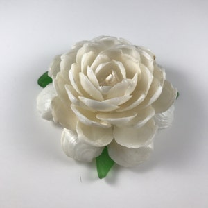 White Rose Seashell Flower handmade with natural Florida Lucine shells