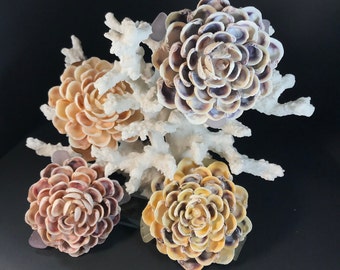 Dahlia Seashell Forever Flower Sitting on Coral Branch in Fall Colors, Natural Venus Clams, All Handmade