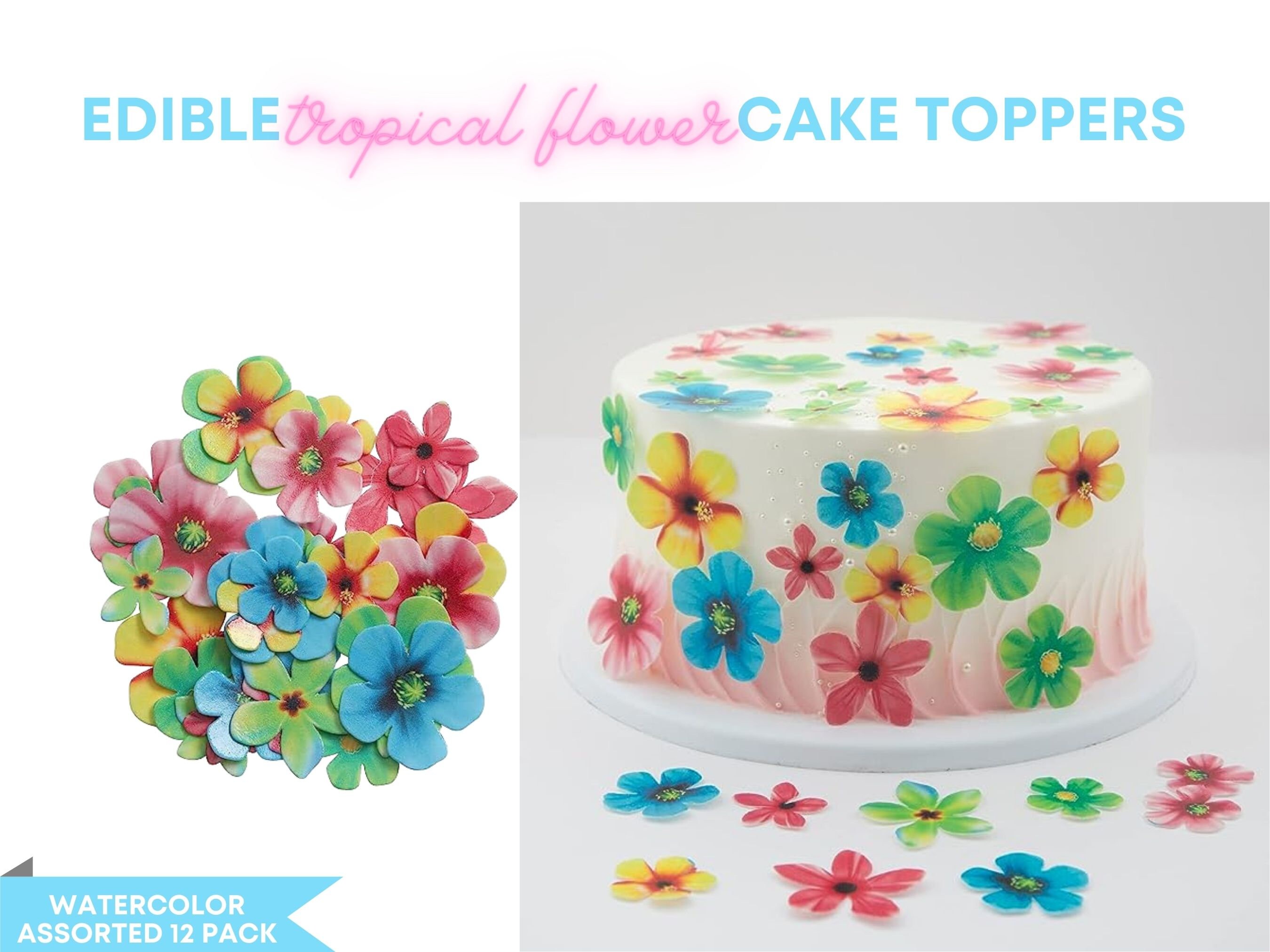 Edible Tropical Flowers Cake Toppers Colorful Edible Flowers Etsy