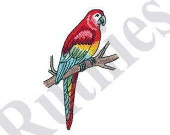 Macaw Embroidery Design 5 Different Sizes for Instant Download