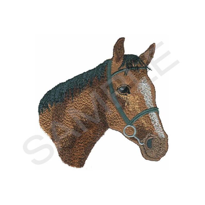 Horse Head Embroidery Design Machine Embroidery Etsy