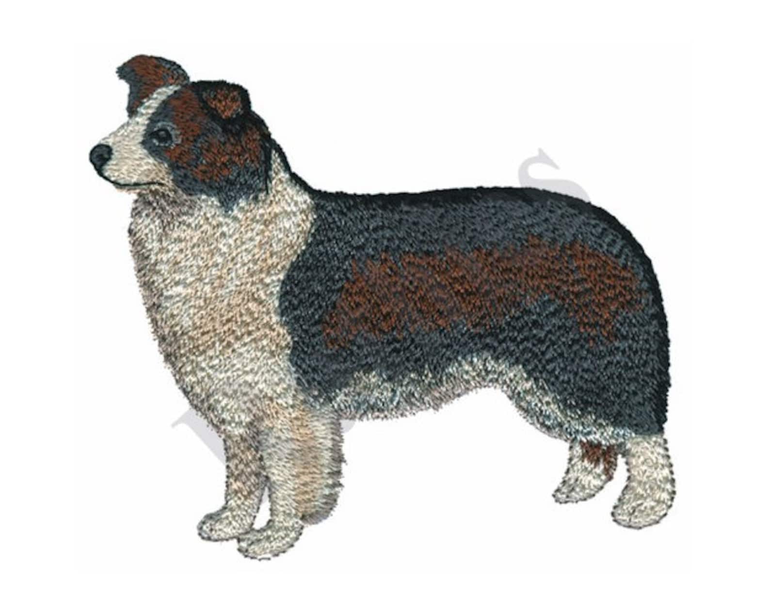 Border collie machine embroidery design  etsy