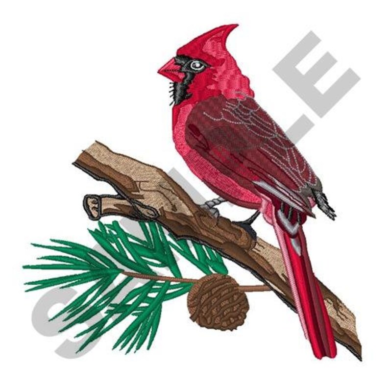 Cardinal on Pine Embroidery Design Machine Embroidery Etsy