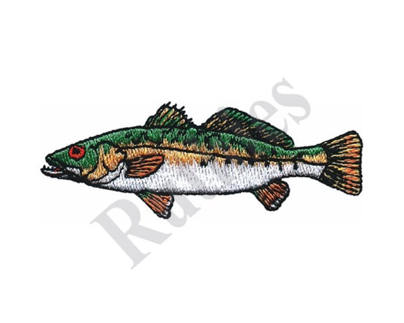 Spotted Sea Trout Machine Embroidery Design Etsy