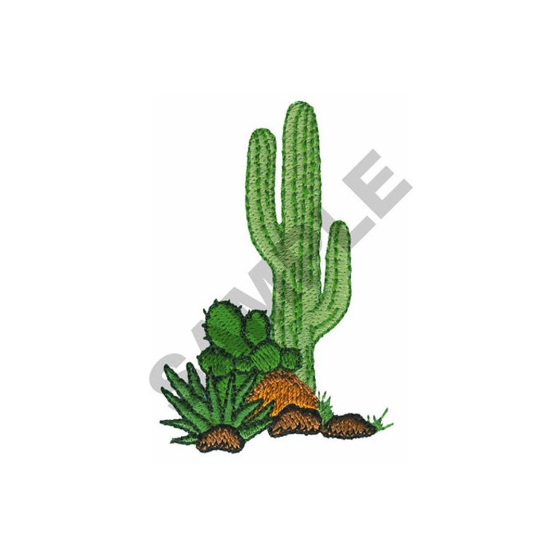 Cactus embroidery design machine embroidery  etsy Cactus embroidery design machine embroidery  etsy