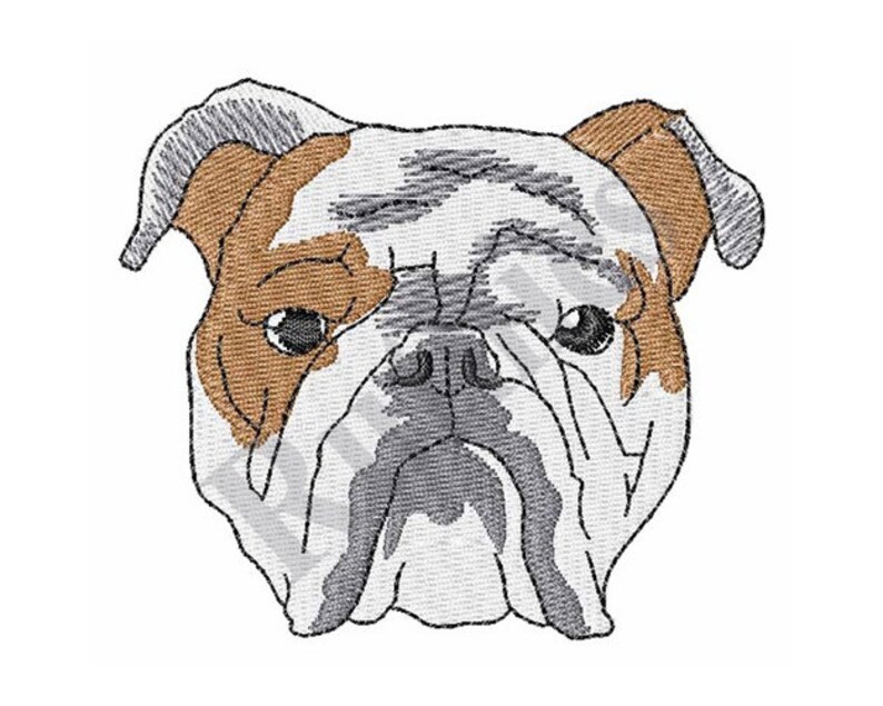 English Bulldog Head Machine Embroidery Design Etsy