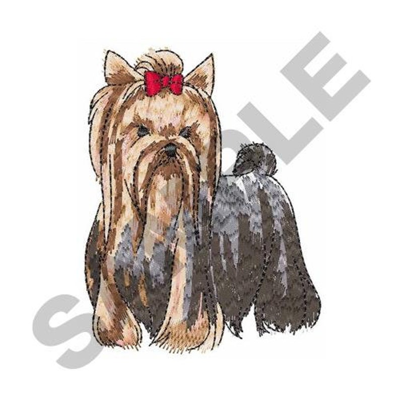 Yorkshire terrier embroidery design machine embroidery  etsy Yorkshire terrier embroidery design machine embroidery  etsy