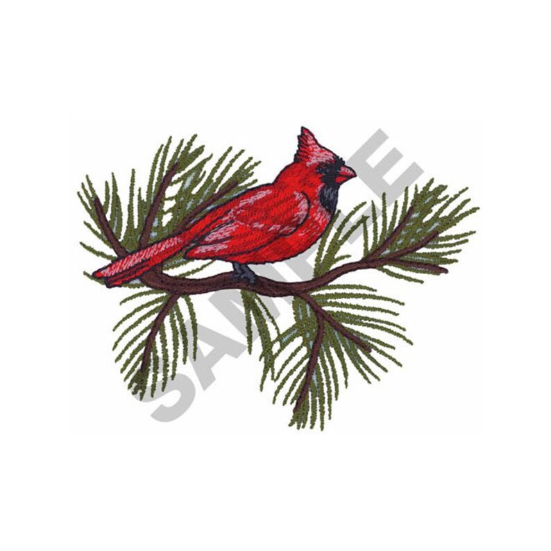 Cardinal Embroidery Design Machine Embroidery Etsy