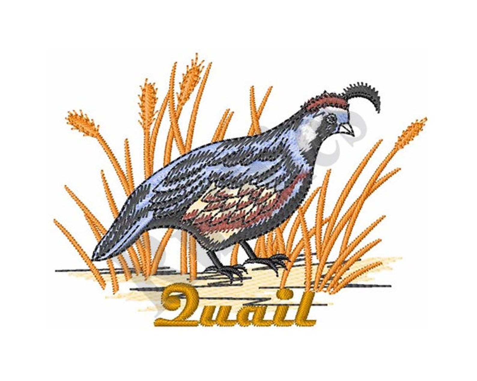 Quail Machine Embroidery Design | Etsy