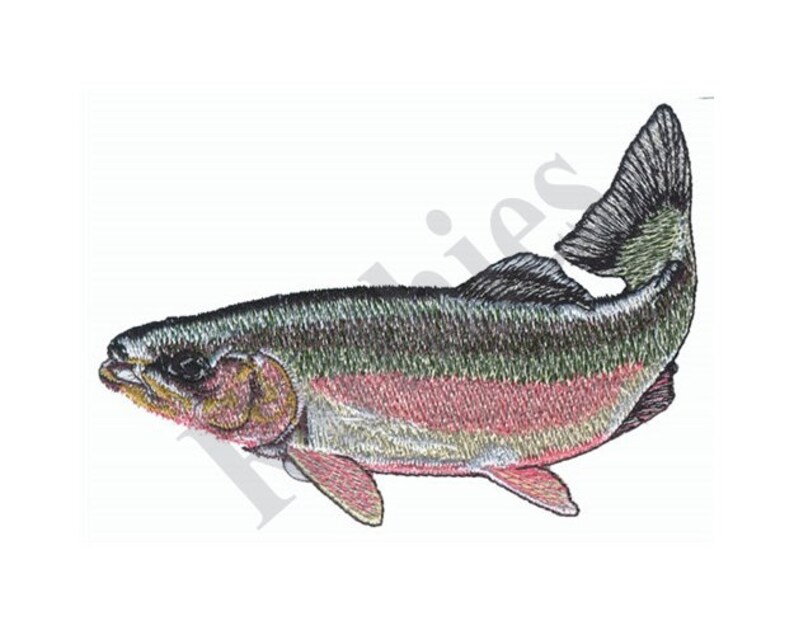 Rainbow Trout Machine Embroidery Design Etsy