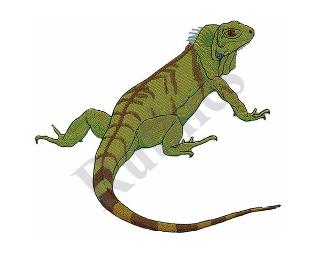 Iguana large machine embroidery design  etsy