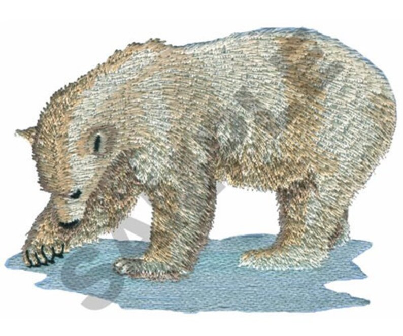 Polar Bear Embroidery Design Machine Embroidery Etsy