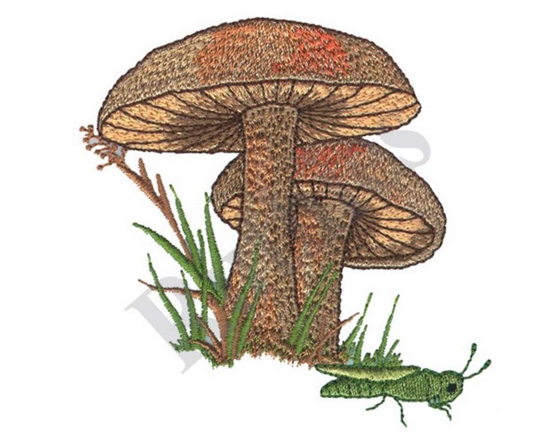 Mushroom Machine Embroidery Design Etsy