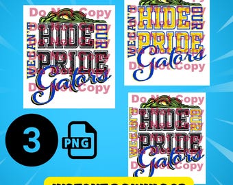 We Can&#39;t Hide Our Pride - Dickinson Gators school mascot, School Spirit, Football spirit, Sports shirt, Digital download, Gold and blue