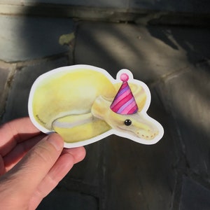 May include: A yellow snake wearing a pink and purple party hat. The snake is curled up and has a small black eye. The sticker has the text "@mauisakart" on it.