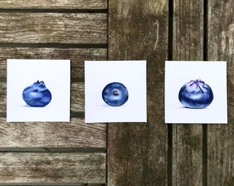 Mini blueberry prints, 4x4"