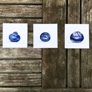 Mini blueberry prints, 4x4"