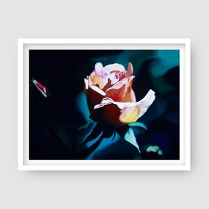 Charlotte | Giclée art print