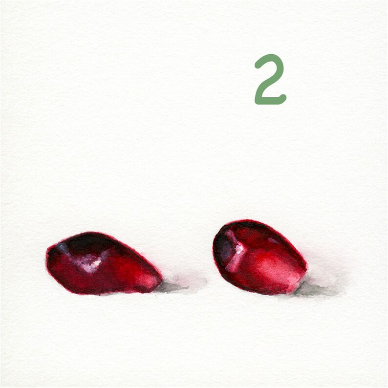 Mini Pomegranate Prints, 4x4 image 3